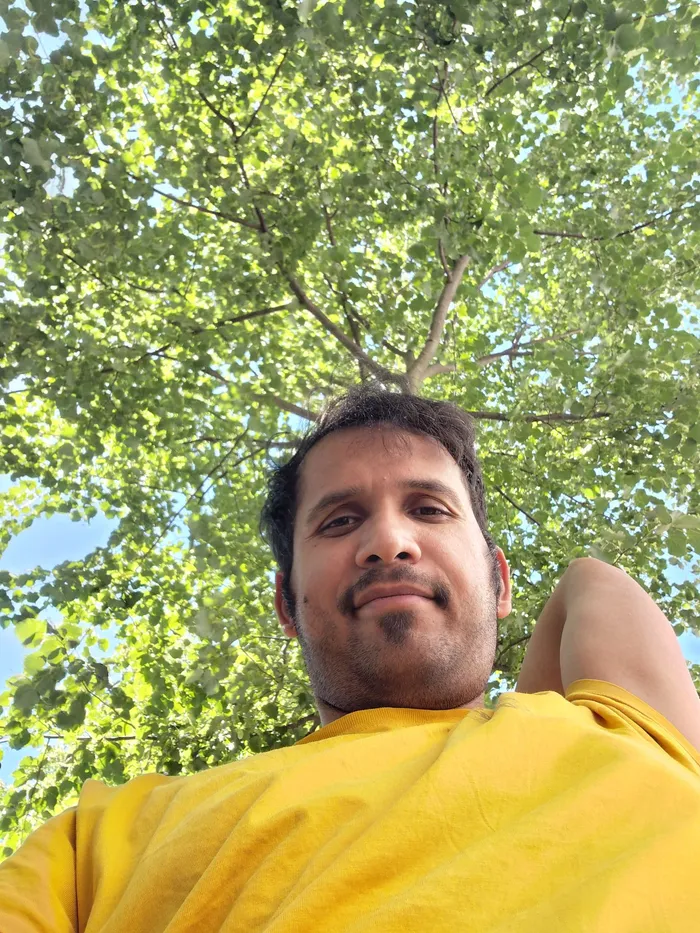 P. K. Tiwari, looking up through poplar leaves
